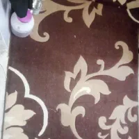 دوتا فرش 4متری