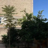 منزل ۳ خوابه حیاط دار|اجارهٔ خانه و ویلا|شیراز, شهرک گلها|دیوار