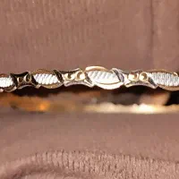 ۲ عددالنگو طلا