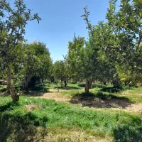 400متر-باغچه-جابان-دماوند-آب-برق-گاز-سند-تک-برگ