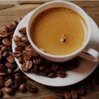 فروش دان قهوه