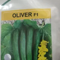 خیار الیور اصلی