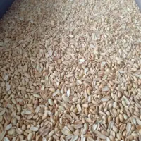 لپه و ریز خام بادام آلیرام