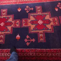 فرش  ۱.۱۵. در۳پشم دستباف قدیمی|فرش|قرچک, زیبا شهر|دیوار