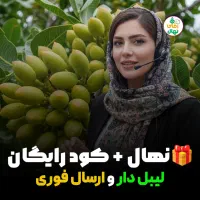 فروش نهال پسته پربار مقاوم، با تسویه پس از تحویل