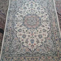 قالی دست باف|فرش|رفسنجان, |دیوار