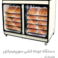 دستگاه جوجه کشی تمام اتوماتیک 2016 تایی