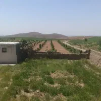 فروش-مزرعه-14هکتاری-در-عبدل-اباد