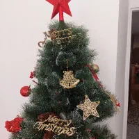 درخت کریسمس تنها بدون وسایل روش فروخته می شود|گل مصنوعی|تهران, نیلوفر|دیوار