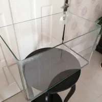 آکواریوم شرکتی  شیشه خم ضخیم