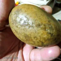 سنگ زیبای کلکسیونی|کلکسیون اشیاء عتیقه|ساری, |دیوار