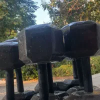 دمبل شش ضلعی*Cat Fit* با ارسال رایگان|تجهیزات ورزشی|گرگان, |دیوار