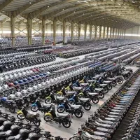 نیرو کار جوان