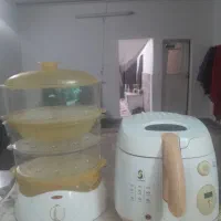 بخارپز وسرخ کن