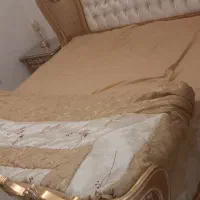 تختخواب منبت|تخت و سرویس خواب|پردیس, فاز ۱۱|دیوار