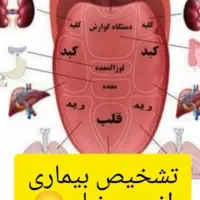آموزش رایگان تادرامدزایی
