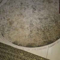 فرش گرد کاشان|فرش|کرج, ساسانی (قلمستان)|دیوار