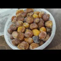 رطب|خوردنی و آشامیدنی|تهران, درختی|دیوار