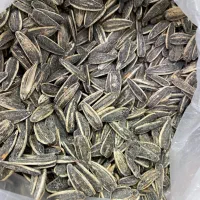 تخمه کانادایی و ایرانی