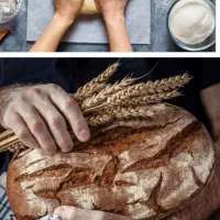 خریدار سهام نانوایی