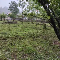 فروش زمین مسکونی در  پونل /  دوران