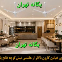 پنکه سقفی کافه هنر لحظات دلنشین نسیم دلنواز بهاری