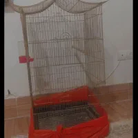 قفس پرنده