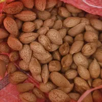 بادام