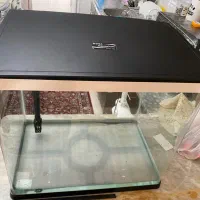 آکواریوم دلسا k500