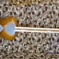 تار حرفه ای شاهین کلهر