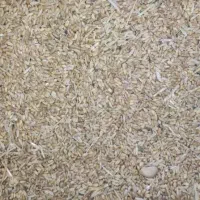 گندم سفید دیمه سربیشه