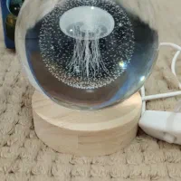 شبخواب عروس دریایی