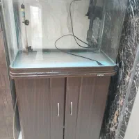 آکواریوم شرکتی ماهیران همراه با کمد