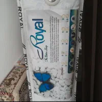 تخت خواب بچه نو