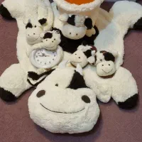 ست پادری و وسایل اتاق