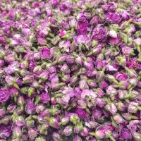 فروش 100کیلو غنچه ی گل محمدی خشک شده