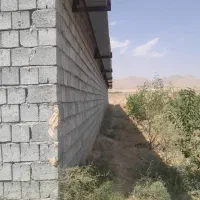 دامداری حدود 3000 متر در قوشجی|فروش دفتر صنعتی، کشاورزی، تجاری|انزل, |دیوار