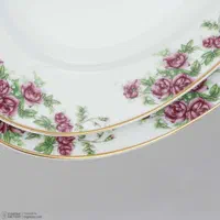 سرویس چینی زرین|ظروف سرو و پذیرایی|مهاباد (آذربایجان غربی), |دیوار