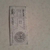 شمش نقره ۲۵۰ گرمی نادیر ترکیه|جواهرات|قزوین, |دیوار