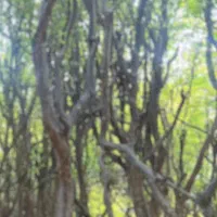 زمین قیمت مناسب