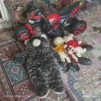 اسباب بازی