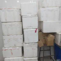 یخدان یونولیت