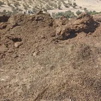 کود گوسفندی وگاوی|خدمات باغبانی و درختکاری|شاهیوند, |دیوار