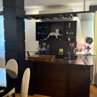 بار|بوفه، ویترین، کنسول|رشت, دیلمان|دیوار