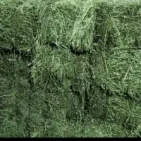 یونجه خشک درجه یک