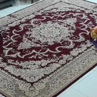 ۲عدد فرش ۱۲متری نگین مشهد|فرش|کرمانشاه, |دیوار