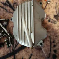 تنه و انجین|عمدهفروشی|مسجد سلیمان, |دیوار