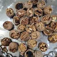 گردوی درجه یک