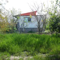 یک باب مغازه با۸۰۰ مترباغ یکجا هم نقدهم معاوضه|فروش مغازه و غرفه|گرگان, |دیوار