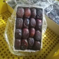 خرما مضافتی درجه ۱